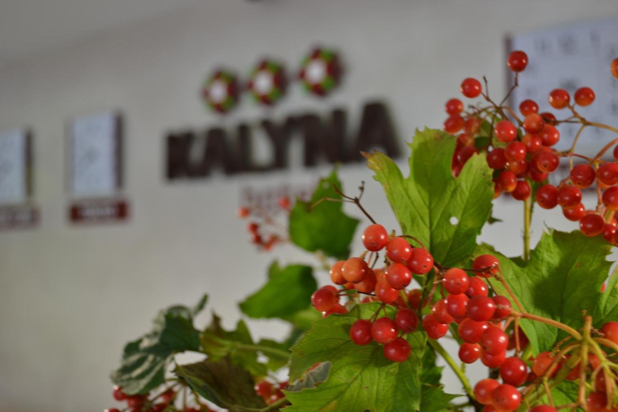 Hotel Kalyna Kharkiv Eksteriør bilde